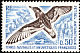 Antarctic Petrel Thalassoica antarctica
