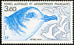 Blue Petrel Halobaena caerulea