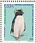 Southern Rockhopper Penguin Eudyptes chrysocome