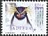 Southern Rockhopper Penguin Eudyptes chrysocome