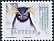 Southern Rockhopper Penguin Eudyptes chrysocome