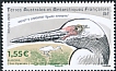 Dimorphic Egret Egretta dimorpha