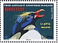 Macaroni Penguin Eudyptes chrysolophus