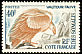 Griffon Vulture Gyps fulvus