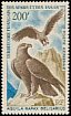 Tawny Eagle Aquila rapax  1967 Fauna 