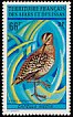 Great Snipe Gallinago media  1972 Birds 