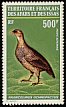 Djibouti Spurfowl Pternistis ochropectus  1972 Birds 
