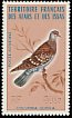 Speckled Pigeon Columba guinea  1975 Birds 