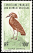 Hamerkop Scopus umbretta  1975 Birds 