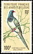 Namaqua Dove Oena capensis  1976 Birds 