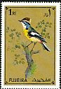 Many-colored Rush Tyrant Tachuris rubrigastra  1971 Tropical birds 