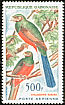 Narina Trogon Apaloderma narina  1963 Birds 