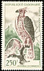 Crowned Eagle Stephanoaetus coronatus  1964 Birds 