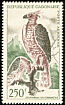 Crowned Eagle Stephanoaetus coronatus