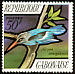 Woodland Kingfisher Halcyon senegalensis  1971 Birds 