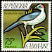 Grey-necked Rockfowl Picathartes oreas  1971 Birds 