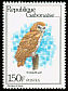Pel's Fishing Owl Scotopelia peli  1980 Birds 