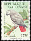 Grey Parrot Psittacus erithacus  1989 Birds 