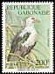 Palm-nut Vulture Gypohierax angolensis  1992 Birds 
