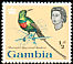 Beautiful Sunbird Cinnyris pulchellus  1963 Birds 