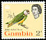 Senegal Parrot Poicephalus senegalus  1963 Birds 
