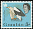 Palm-nut Vulture Gypohierax angolensis  1963 Birds 