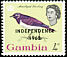 Violet-backed Starling Cinnyricinclus leucogaster  1965 Overprint INDEPENDENCE on 1963.01 