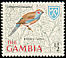 Red-cheeked Cordon-bleu Uraeginthus bengalus  1966 Birds 