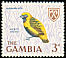Yellow-crowned Bishop Euplectes afer  1966 Birds 