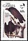 Turkey Vulture Cathartes aura  1985 Audubon 