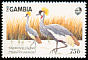 Grey Crowned Crane Balearica regulorum  1989 West African birds 