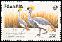 Grey Crowned Crane Balearica regulorum