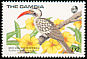 Northern Red-billed Hornbill Tockus erythrorhynchus  1989 West African birds 