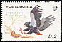 Bateleur Terathopius ecaudatus  1989 West African birds 