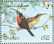 Scarlet-chested Sunbird  Chalcomitra senegalensis