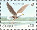 African Fish Eagle Icthyophaga vocifer  1990 African birds Sheet