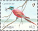 Northern Carmine Bee-eater  Merops nubicus