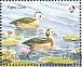 African Pygmy Goose Nettapus auritus  1990 African birds Sheet