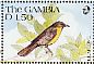 Yellow-bellied Greenbul Chlorocichla flaviventris