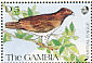 Martial Eagle Polemaetus bellicosus  1991 Wildlife 16v sheet