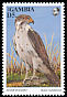 Augur Buzzard Buteo augur  1993 African birds of prey 