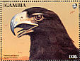 Verreaux's Eagle Aquila verreauxii  1993 African birds of prey  MS