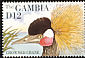 Black Crowned Crane Balearica pavonina  1995 Birds 
