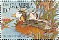 African Pygmy Goose Nettapus auritus  1995 Birds Sheet