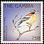 Golden-breasted Bunting Emberiza flaviventris  1996 Birds 