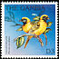 Village Weaver Ploceus cucullatus  1996 Birds 