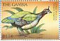 Congo Peafowl Afropavo congensis  1997 Endangered species 20v sheet