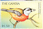 Toucan Barbet Semnornis ramphastinus  1997 Endangered species 20v sheet