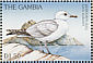 Audouin's Gull Ichthyaetus audouinii