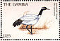 Red-crowned Crane Grus japonensis